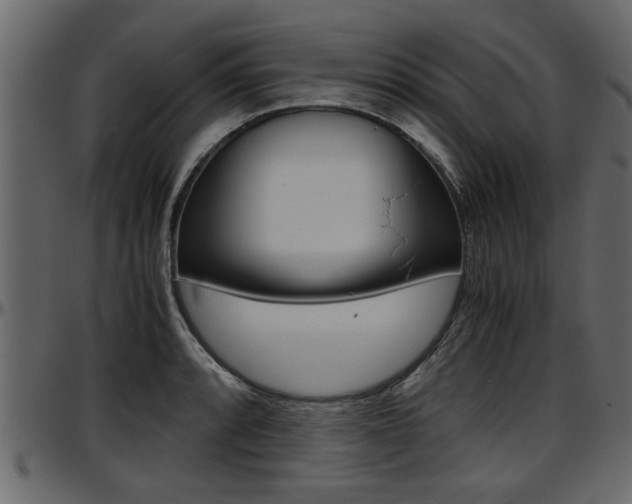 X0000097601088200802290726