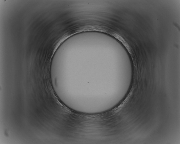 X0000097601089200802290726