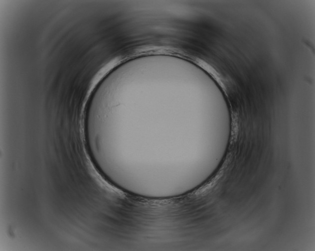 X0000097601090200802290726