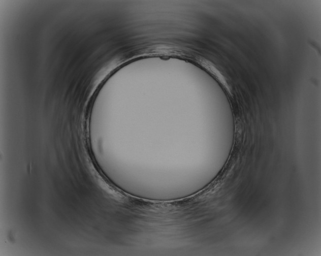 X0000097601091200802290726