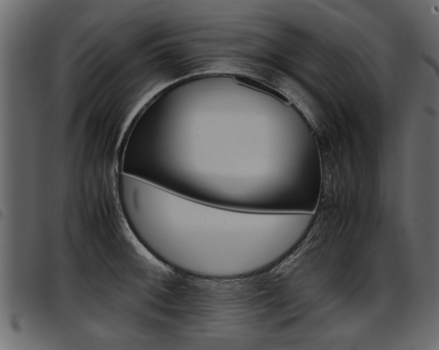 X0000097601092200802290726