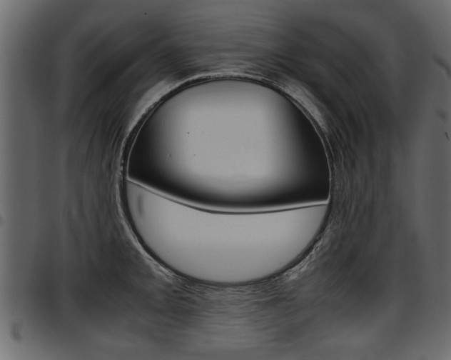 X0000097601093200802290726