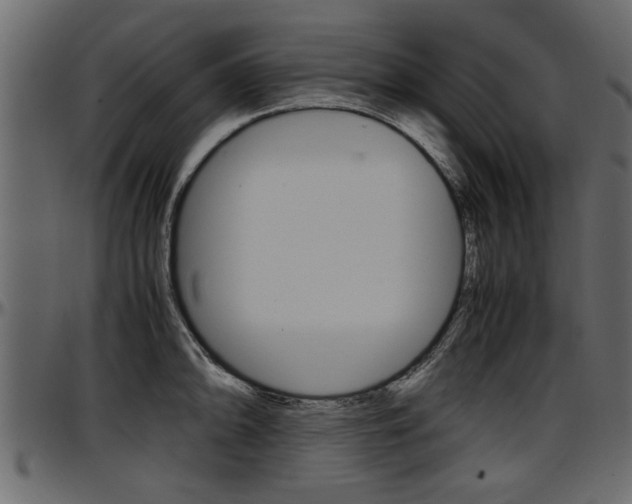 X0000097601094200802290726