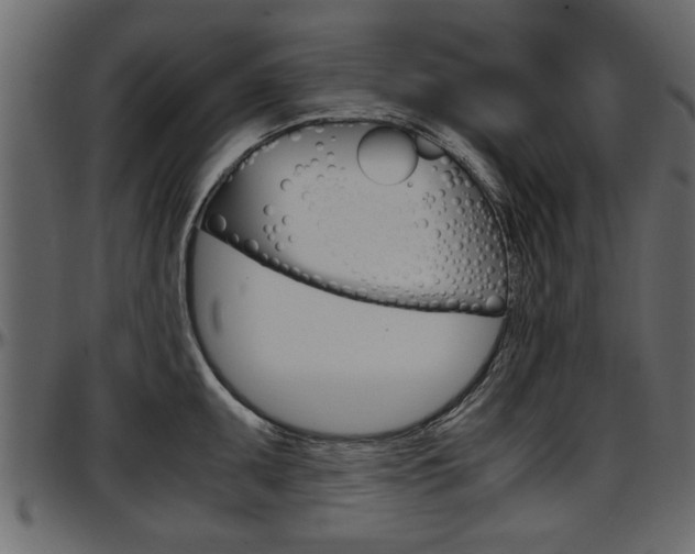 X0000097601095200802290725