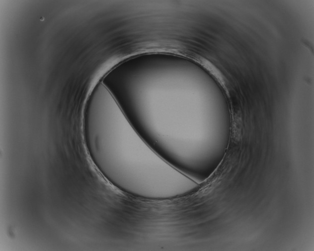X0000097601096200802290725