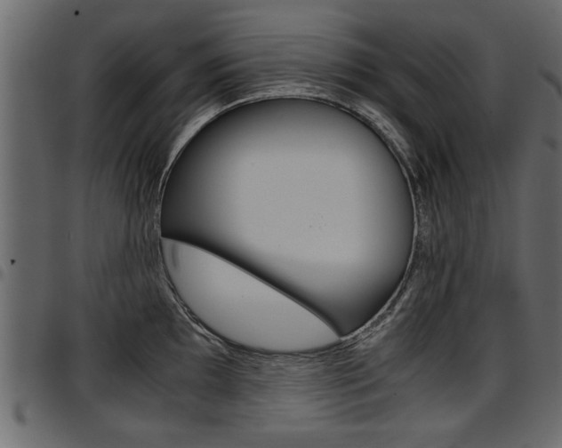 X0000097601097200802290725