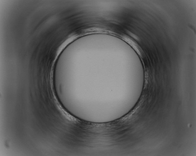 X0000097601098200802290725