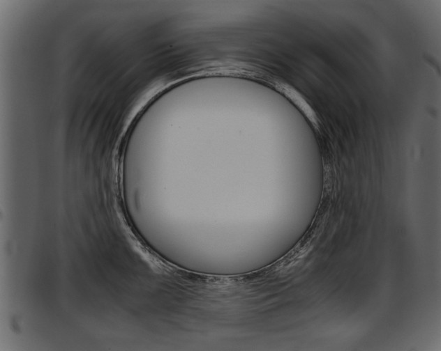 X0000097601099200802290725