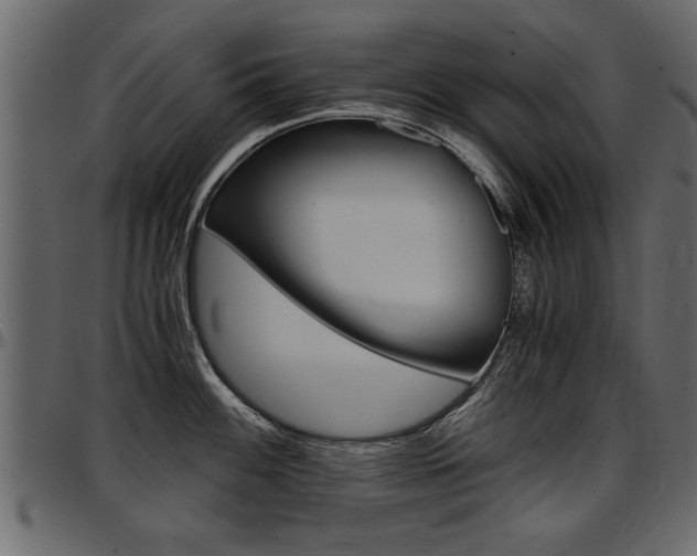 X0000097601100200802290725