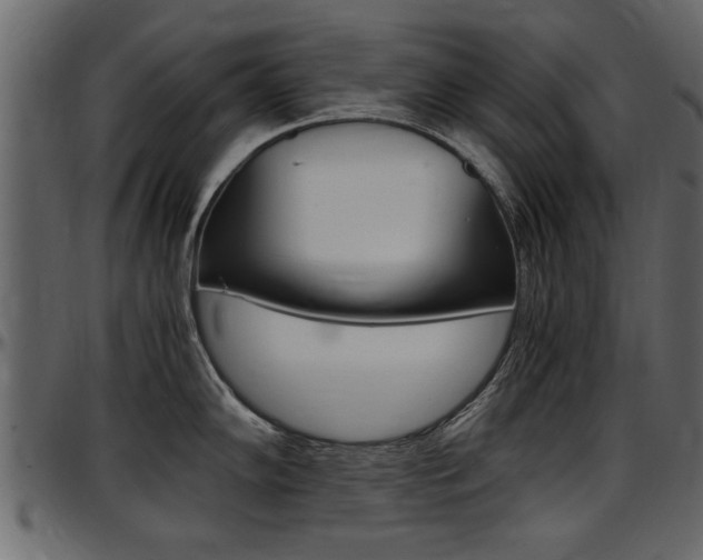X0000097601102200802290725