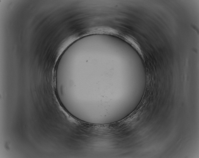 X0000097601103200802290725