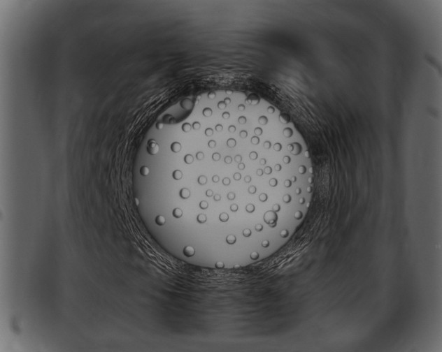 X0000097601105200802290725