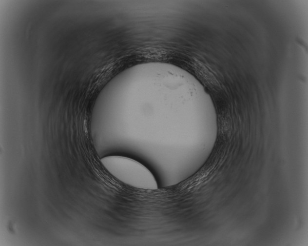 X0000097601106200802290725