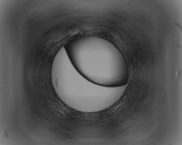 X0000097601109200802290725