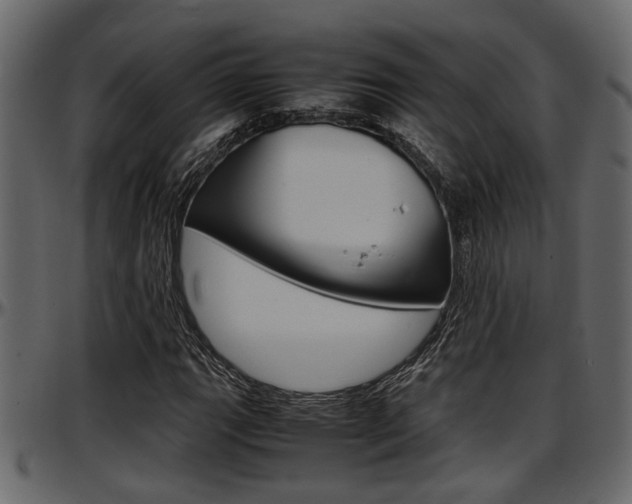 X0000097601111200802290725