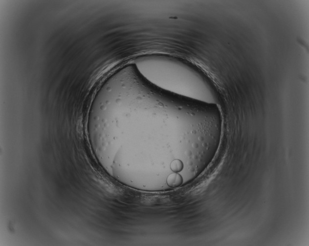 X0000097601113200802290725