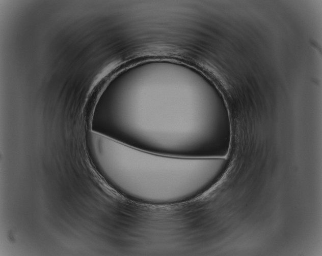 X0000097601114200802290725