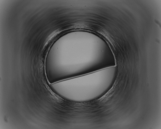 X0000097601115200802290725