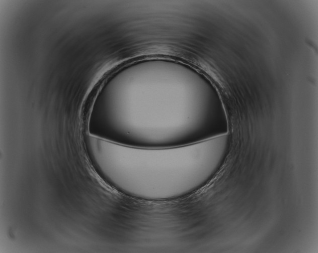 X0000097601116200802290725