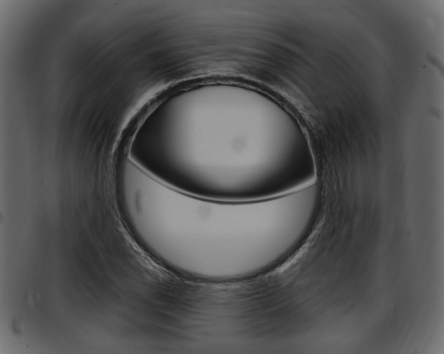 X0000097601118200802290725
