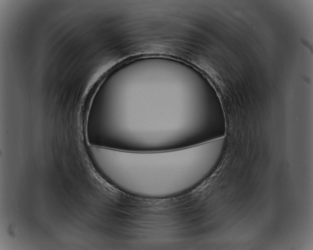 X0000097601120200802290725