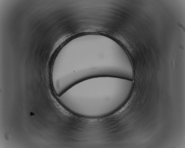 X0000097601122200802290725