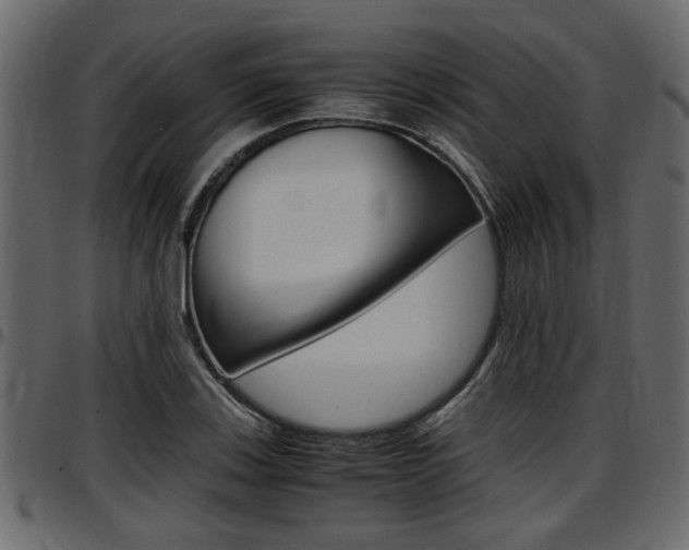 X0000097601123200802290725