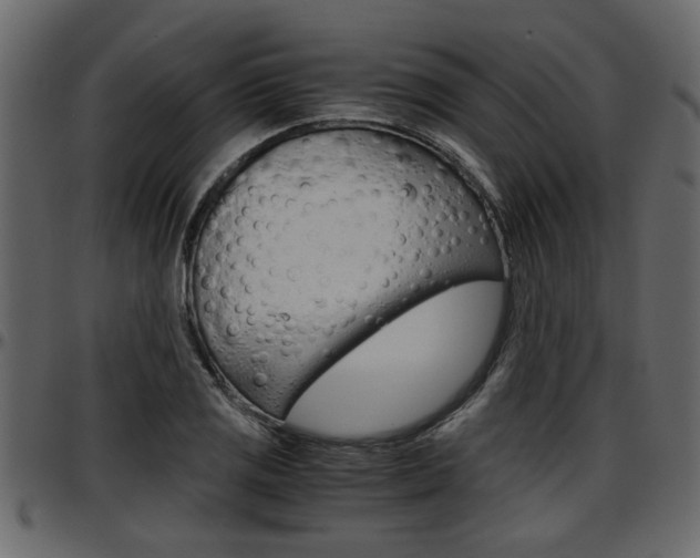 X0000097601125200802290725
