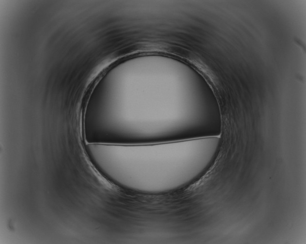 X0000097601127200802290725