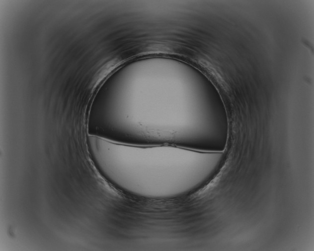 X0000097601129200802290725