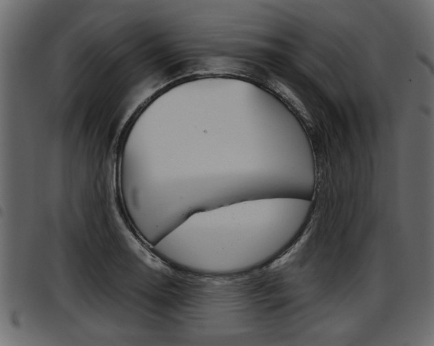 X0000097601130200802290725