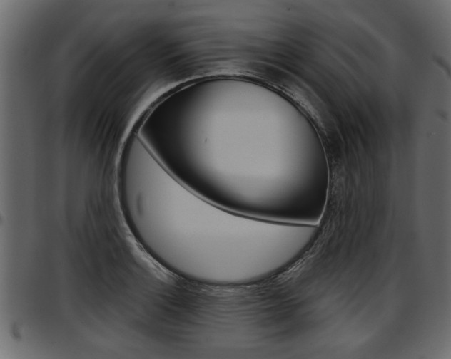 X0000097601132200802290725