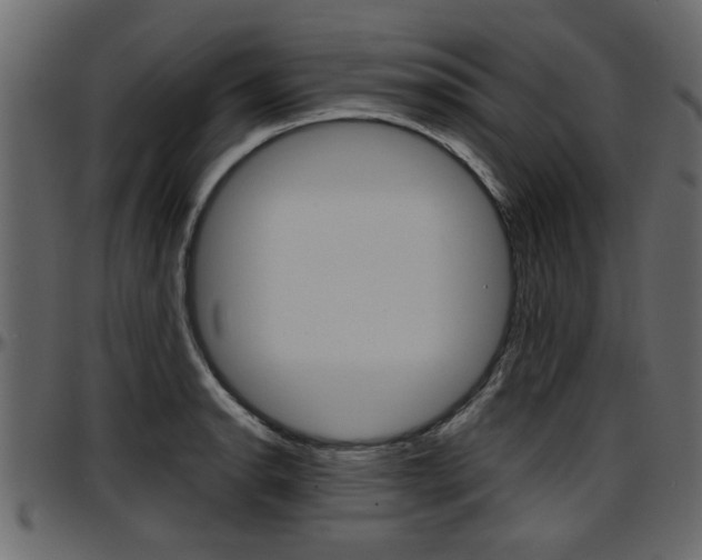 X0000097601134200802290725