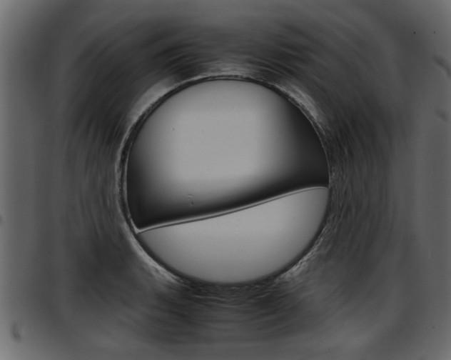 X0000097601135200802290725