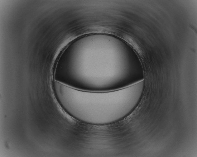 X0000097601136200802290725