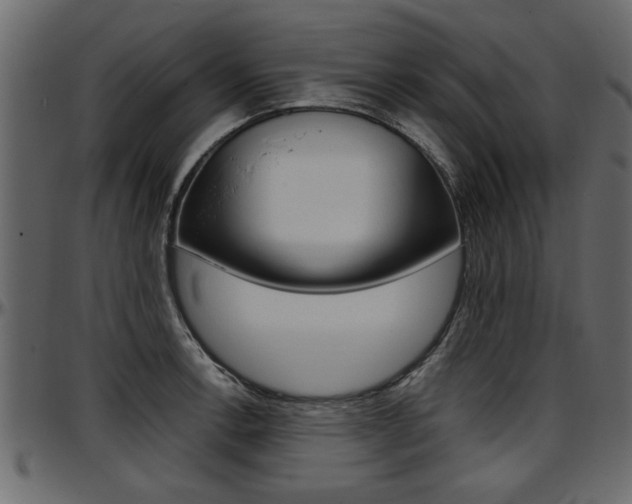 X0000097601138200802290725