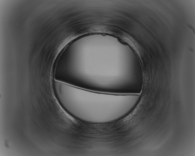 X0000097601141200802290725