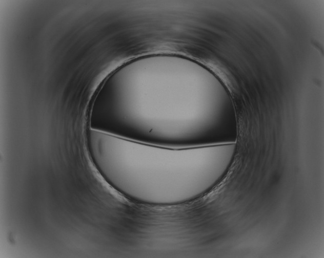 X0000097601142200802290725