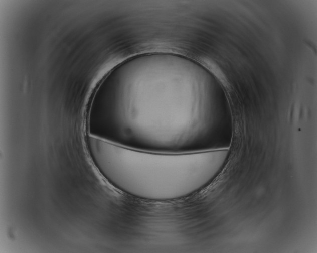 X0000097601144200802290725