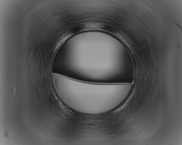 X0000097601145200802290725