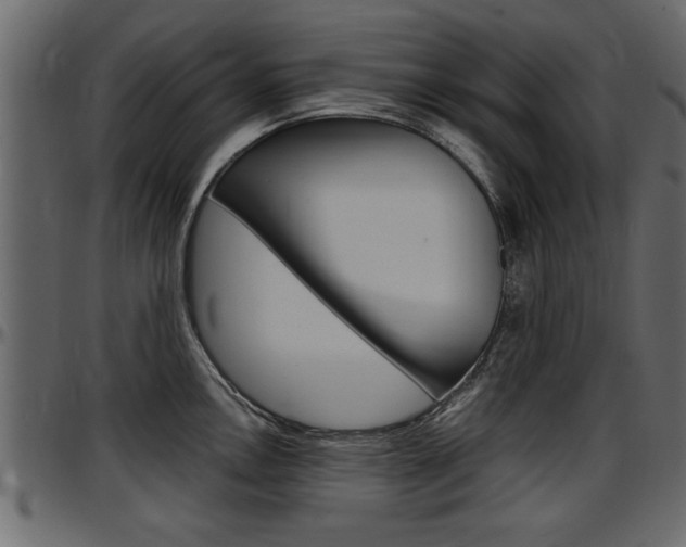 X0000097601146200802290725