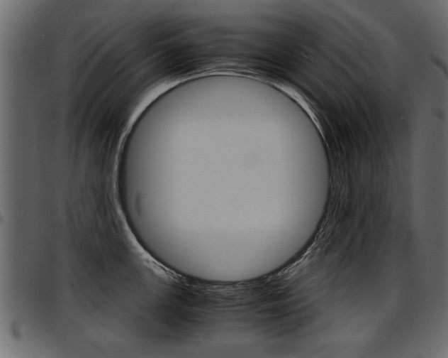X0000097601147200802290725