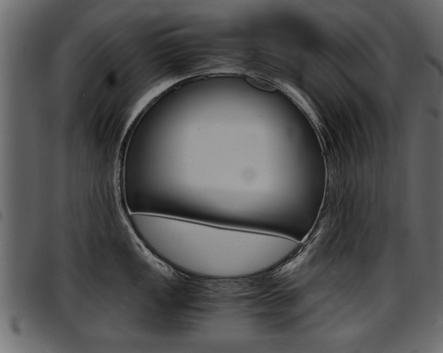 X0000097601149200802290725