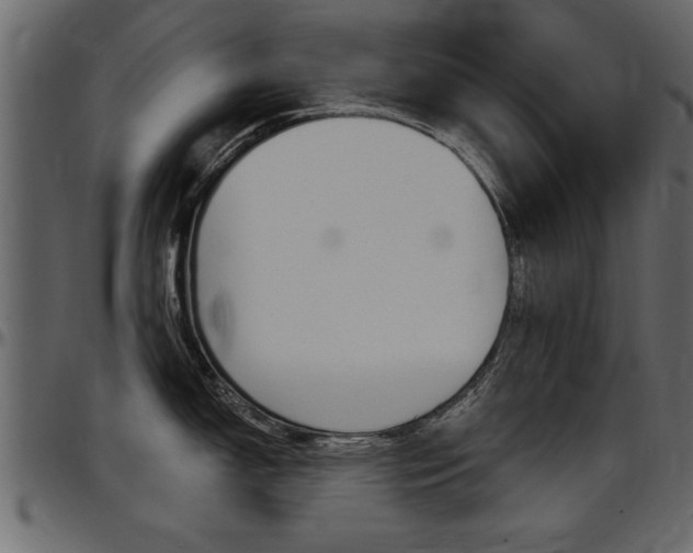 X0000097601150200802290725