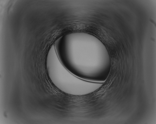 X0000097601153200802290725