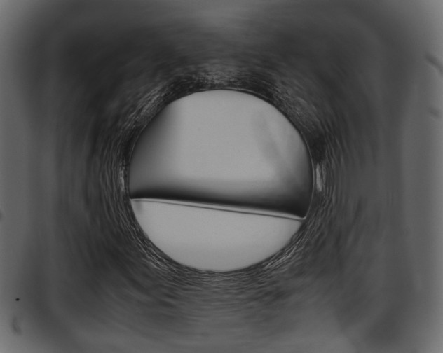 X0000097601155200802290725