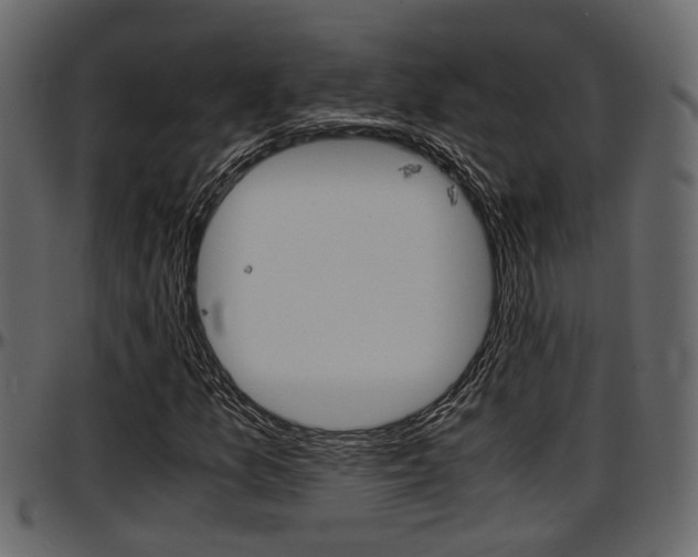X0000097601157200802290725