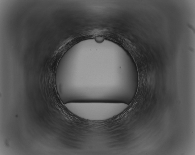 X0000097601158200802290725