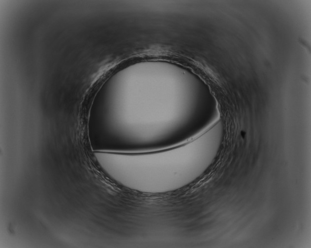 X0000097601160200802290725