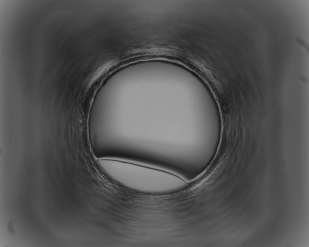 X0000097601163200802290725